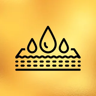 محافظ تشک